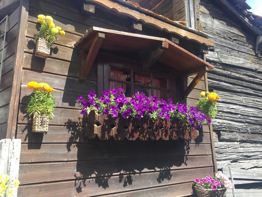 Appartement Ascot-Zermatt Extérieur photo